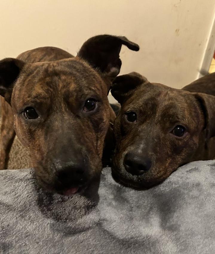 Portrait of Quadirah